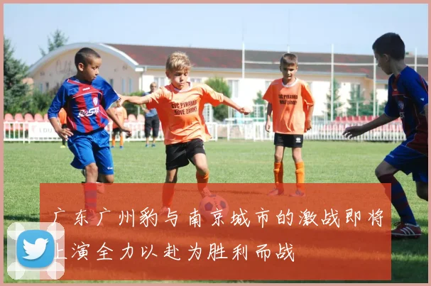 广东广州豹与南京城市的激战即将上演全力以赴为胜利而战