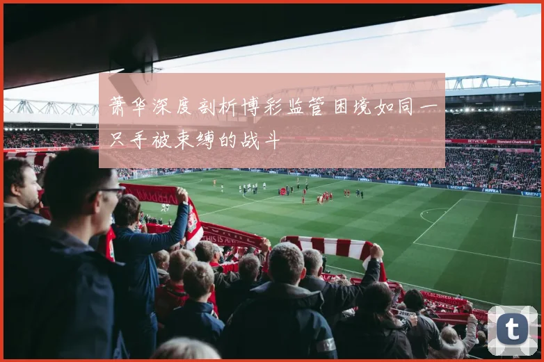 萧华深度剖析博彩监管困境如同一只手被束缚的战斗