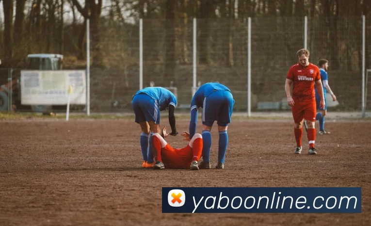 多媒体互动体验